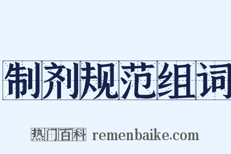 制剂规范组词是什么意思的图片